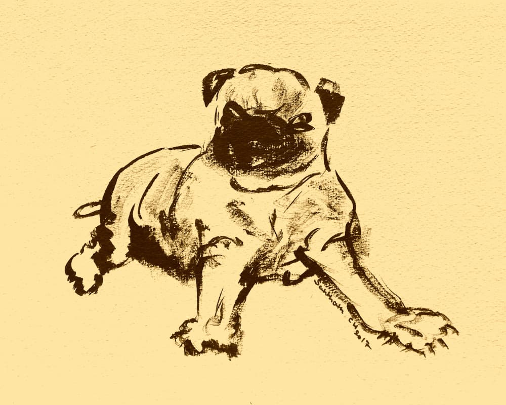 Cute Pug Puppy Sketch by Santhosh ch — canvas wall art