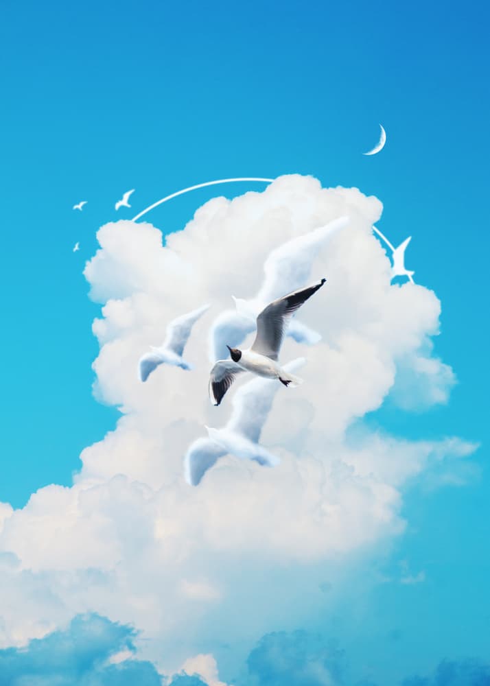 Seagull Cloudscape with Moon by Ariz Rab — canvas wall art