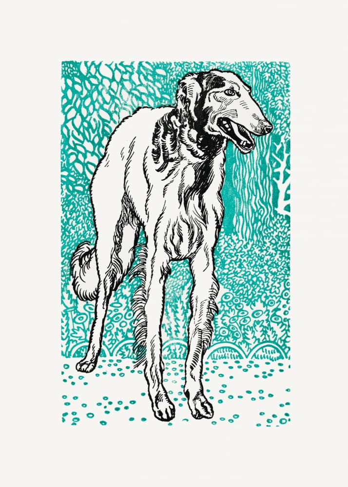 Greyhound by Moriz Jung — canvas wall art