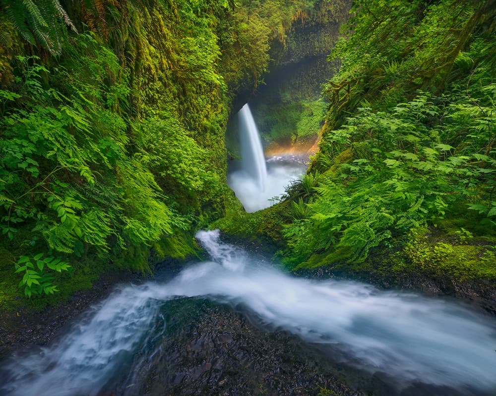 Mossy Forest Waterfall by Chris Moore — canvas wall art