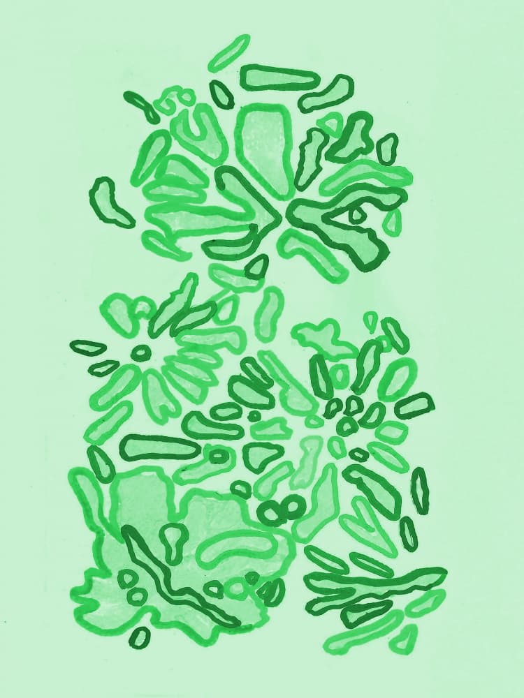 Green Organic Shapes by Lori Ann Folz — canvas wall art
