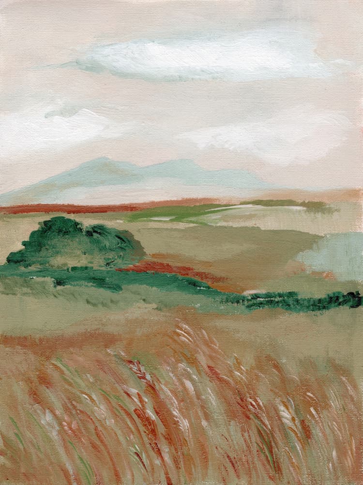 Serene Mountain Field by Nikita Jariwala — canvas wall art