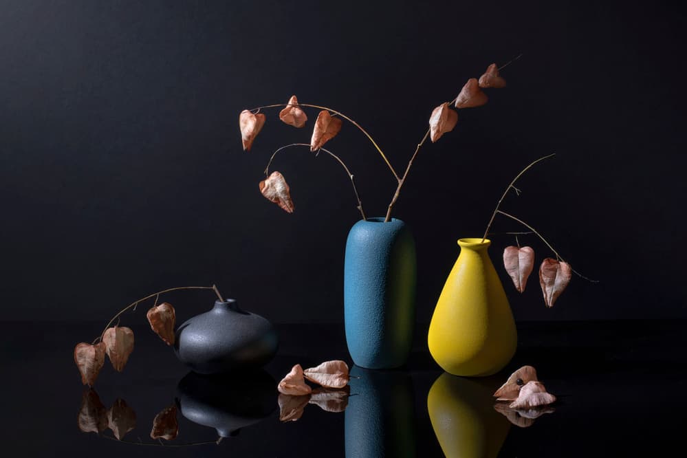 Modern Botanical Vases by Ming Chen — canvas wall art