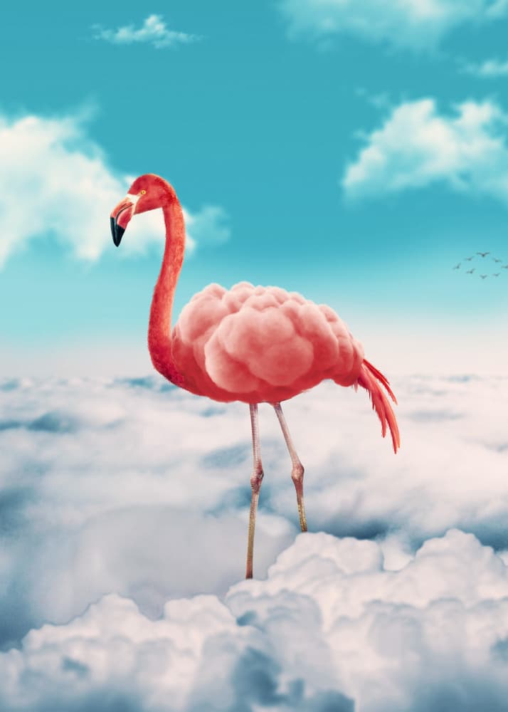 Pink Flamingo Cloud Dream by Ariz Rab — canvas wall art