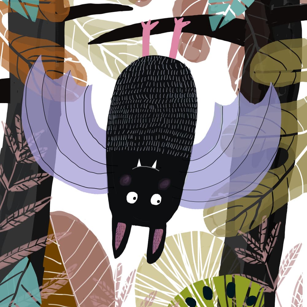 Cute Hanging Bat by Carla Daly — canvas wall art