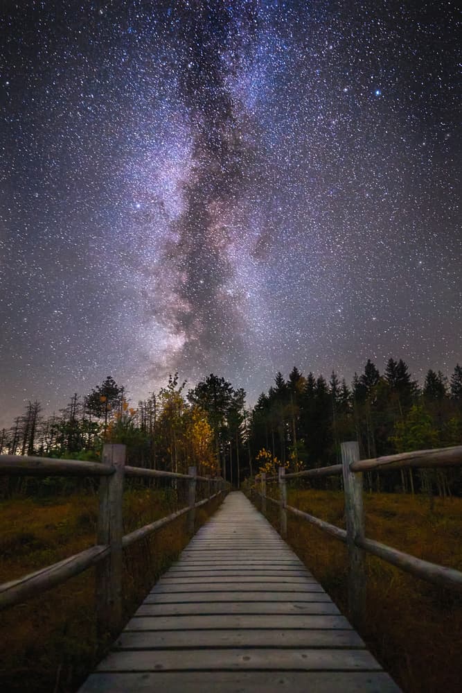 Milky Way Pathway by Anghel Rusu — canvas wall art