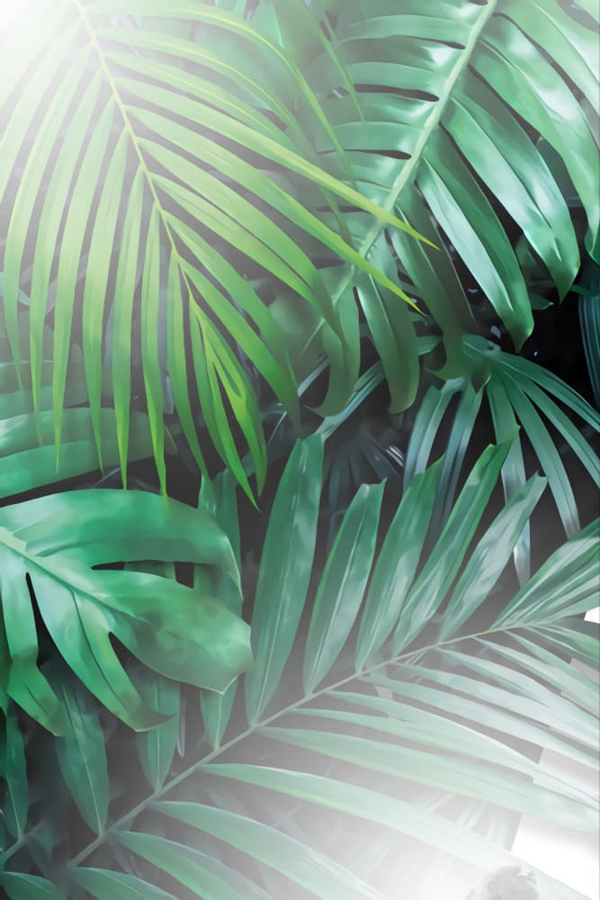 Lush Tropical Leaves by Rafal Kulik — canvas wall art