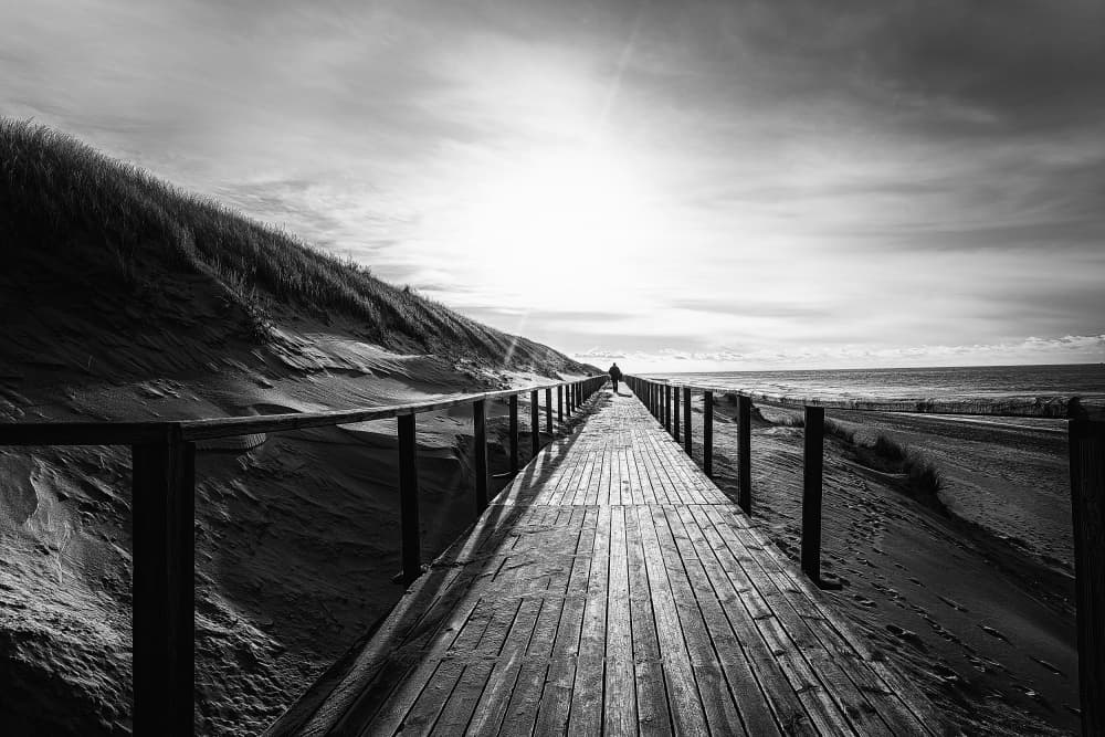 Path to the Sun by Michael — canvas wall art