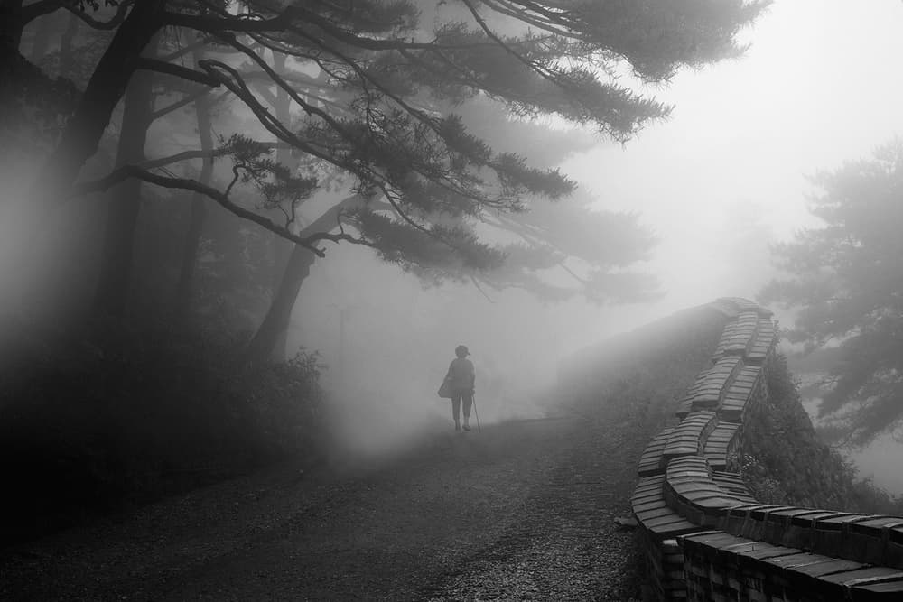 Solitary Walk In Fog by Shin Woo Ryu — canvas wall art