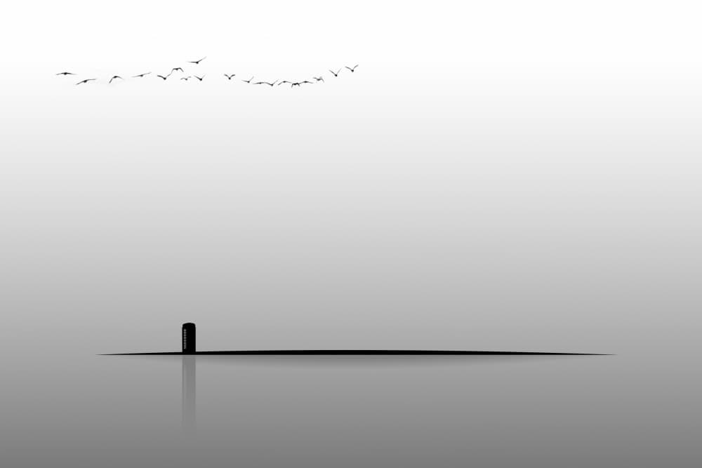 Birds Over Still Water by Bocah Bocor — canvas wall art