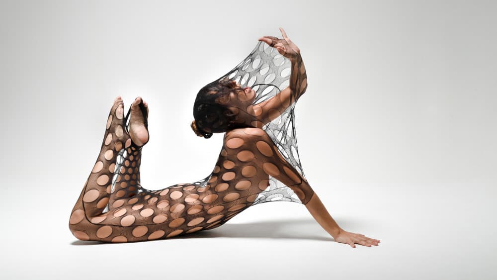 Dancer In Black Mesh by Joan Gil Raga — canvas wall art