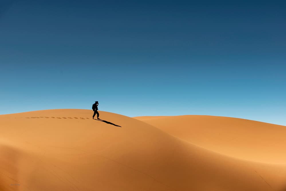 Lone Walker Desert Dunes by Gina Buliga — canvas wall art