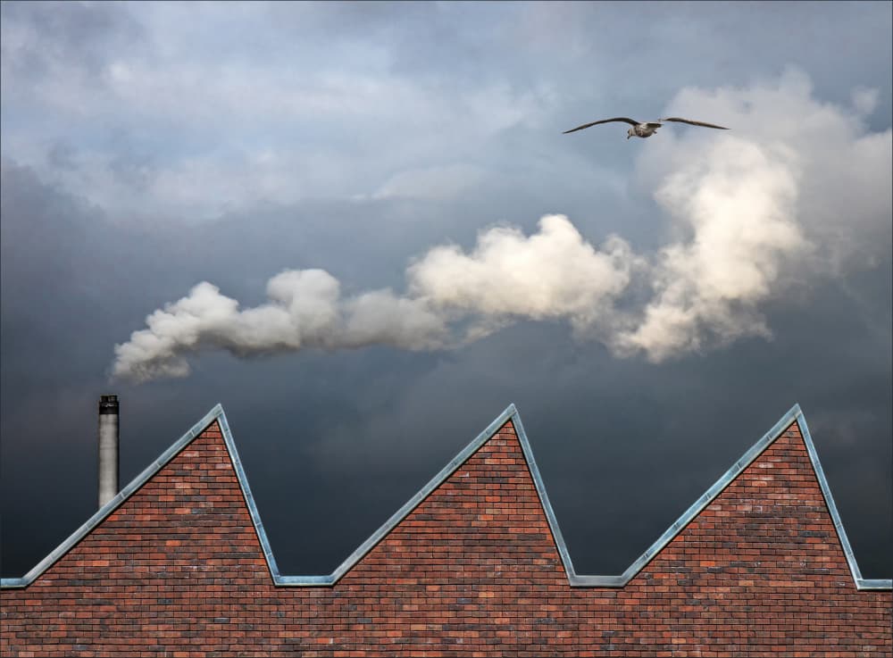 Bird Over Factory Smoke by Gilbert Claes — canvas wall art