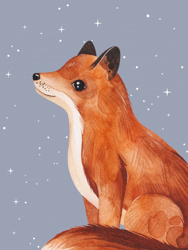 Whimsical Stargazer Fox by Ohkimiko — canvas wall art