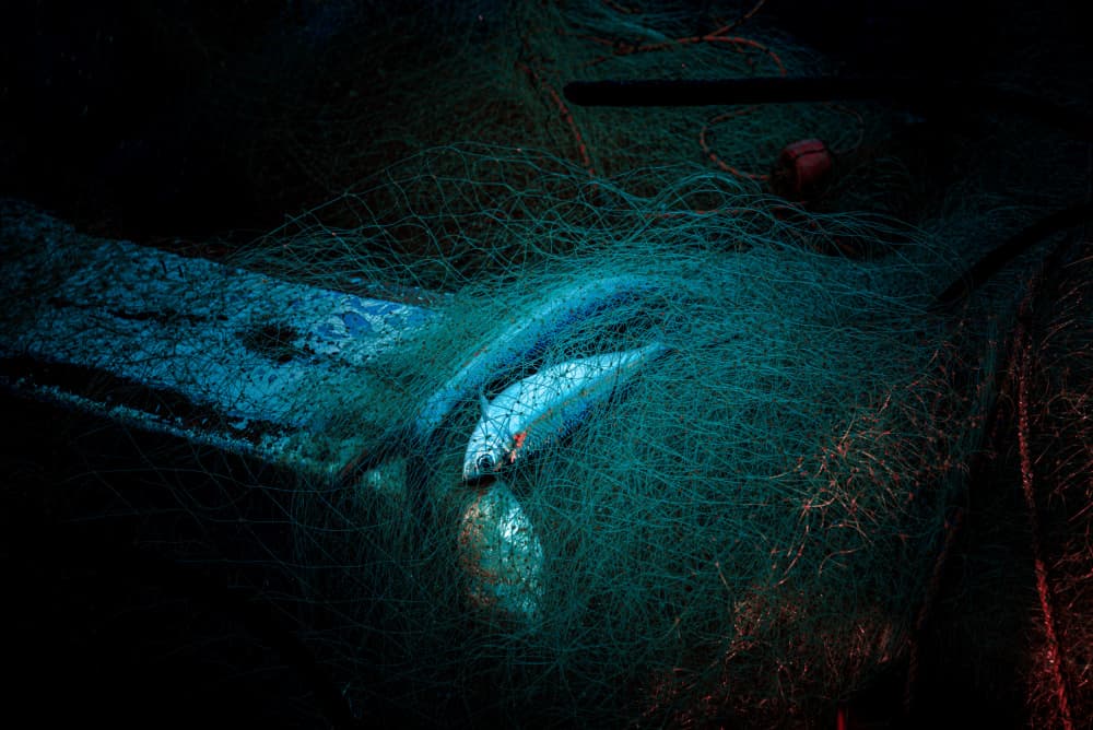 Caught in the Net by Heike Wolters-Wrase — canvas wall art