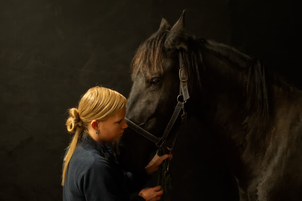 Gentle Horse Connection by Gert van den Bosch — canvas wall art