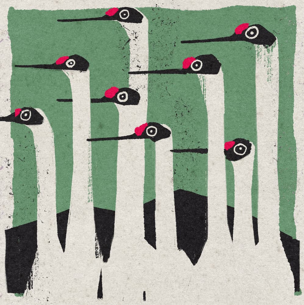 Modern Crane Flock by Ophelia Pang — canvas wall art