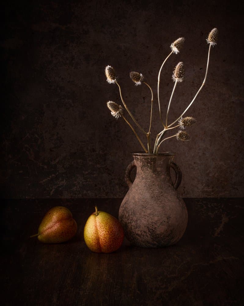 Dark Pears and Flowers by Margareth Perfoncio — canvas wall art
