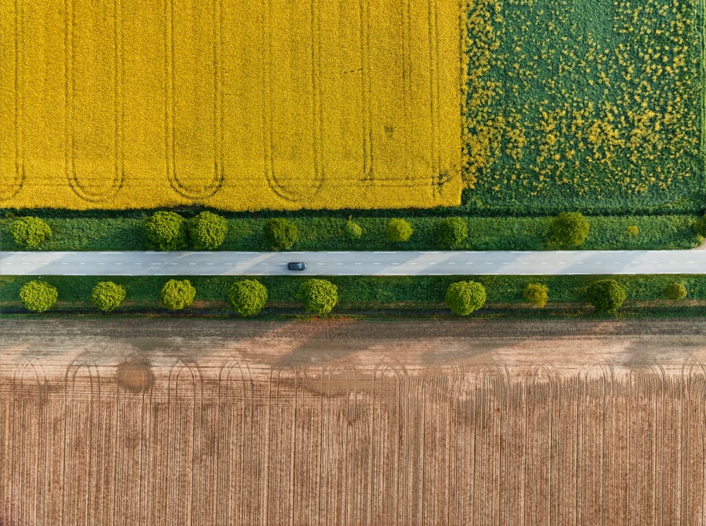 Aerial Road Through Fields by Jure Kravanja — canvas wall art