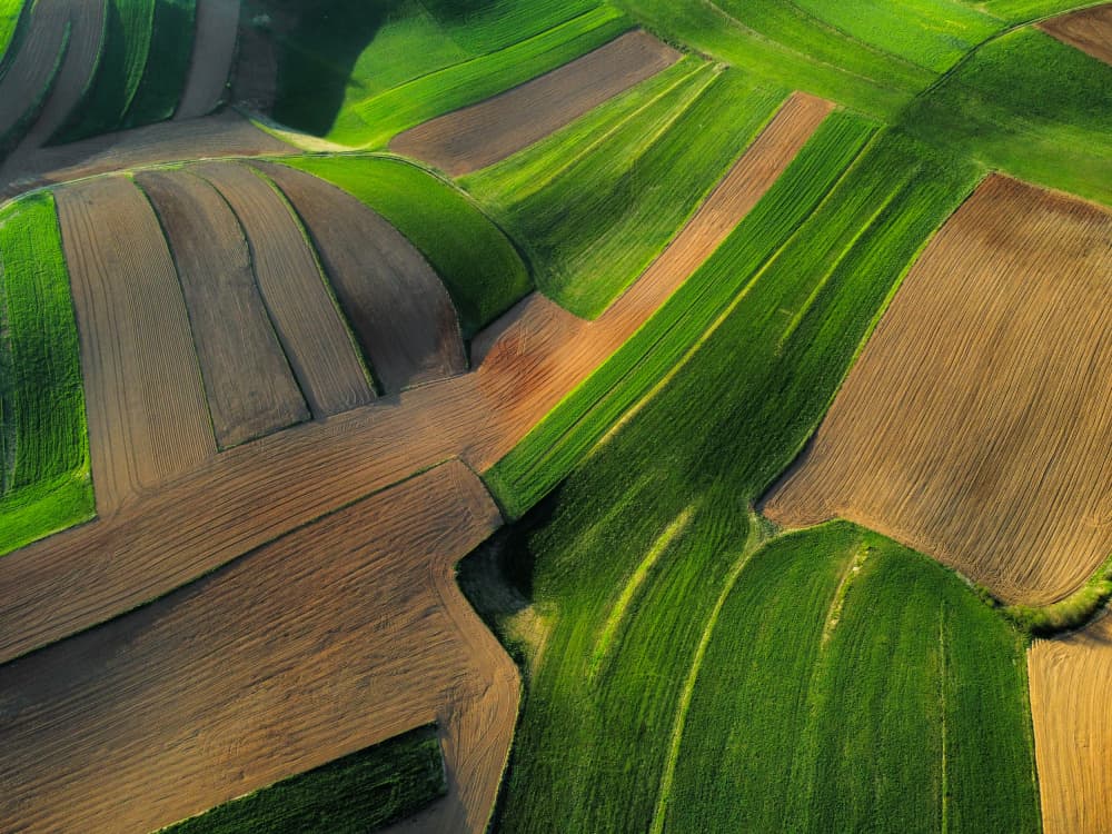 Cultivated Earth Patterns by Primož Kožuh — canvas wall art