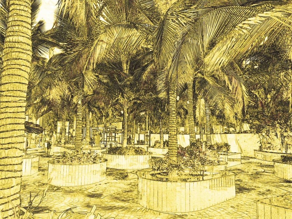Golden Palm Garden by Santhosh ch — canvas wall art