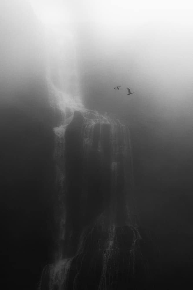 Misty Waterfall Birds by swapnil deshpande — canvas wall art