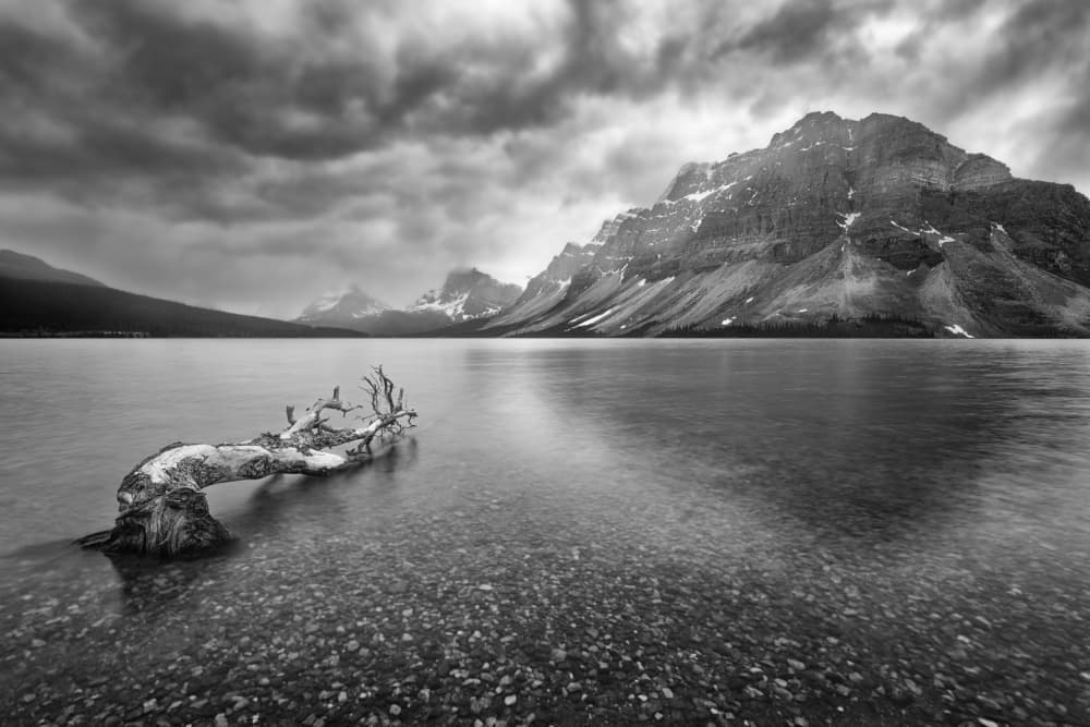 Driftwood Mountain Lake by Ali Khataw — canvas wall art