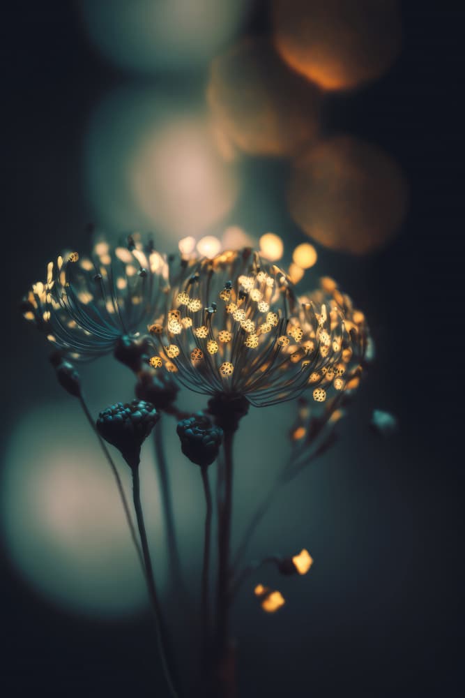 Enchanted Blossoms by Treechild — canvas wall art