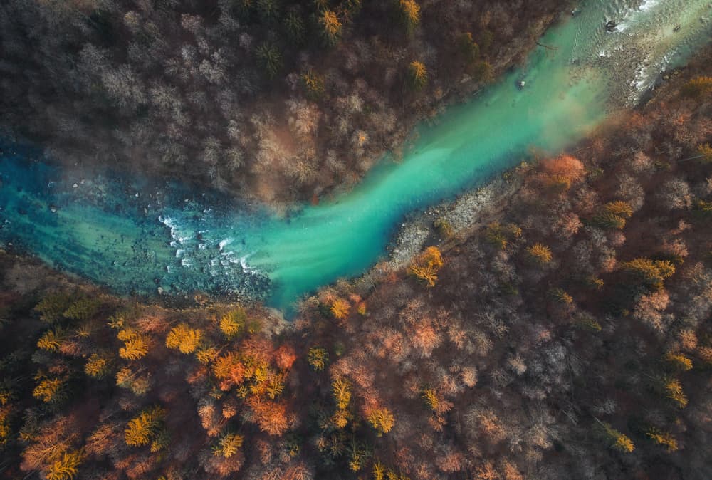 Vibrant Autumn River by Ales Krivec — canvas wall art