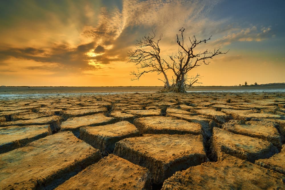 Cracked Earth Sunset Landscape by MingLun Tsai (蔡明倫) — canvas wall art