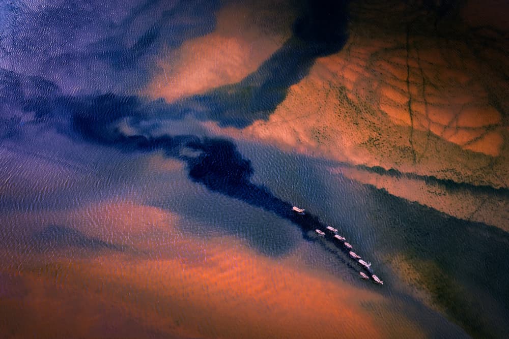 Pink Flamingos River Delta by Songlin Xu — canvas wall art
