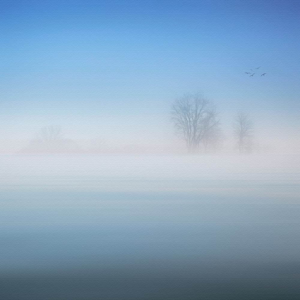 Misty Winter Landscape by Stefan Eisele — canvas wall art