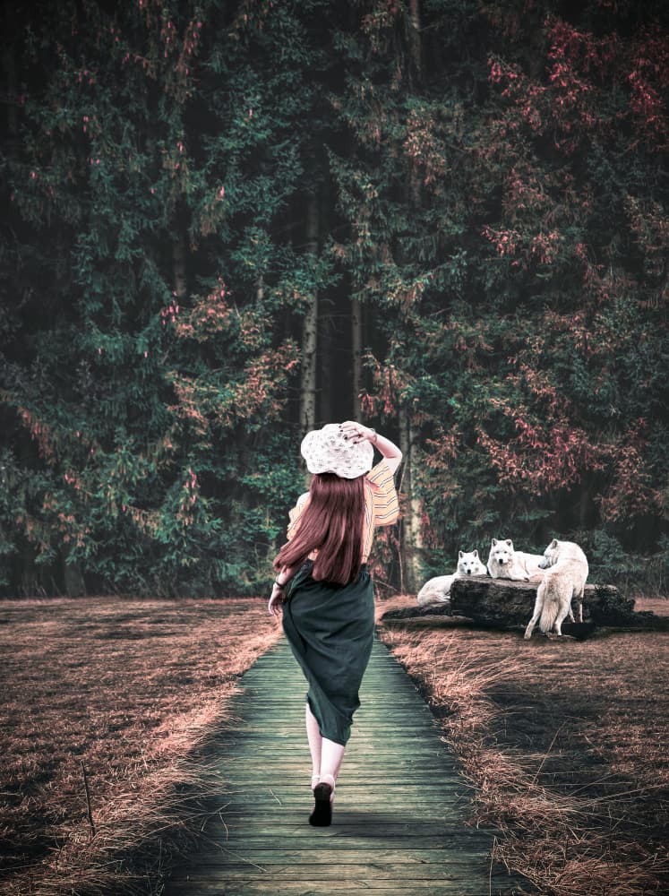 Woman and White Wolves by Komra Gallery — canvas wall art