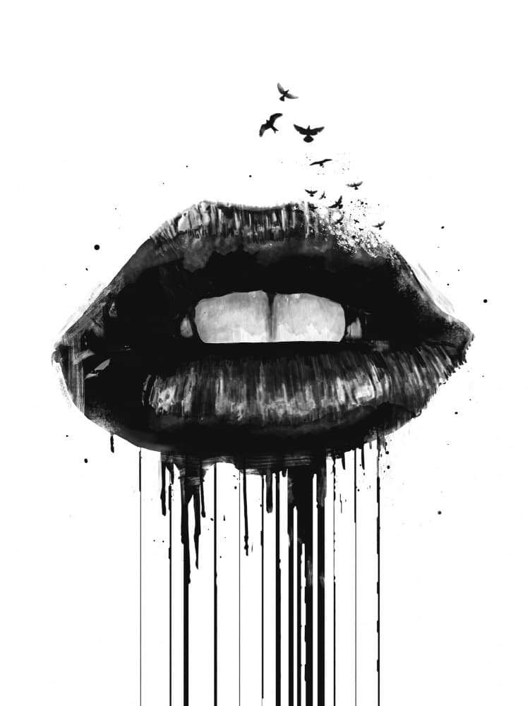 Dark Lips With Birds by Balazs Solti — canvas wall art