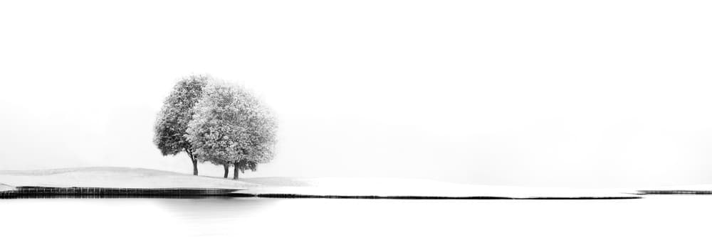 Serene Tree Reflections by Marc Huybrighs — canvas wall art