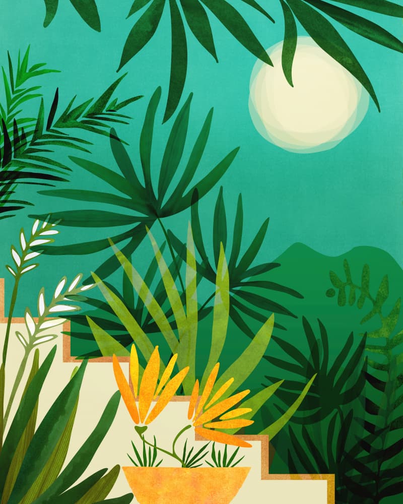 Exotic Garden Nightscape by Kristian Gallagher — canvas wall art