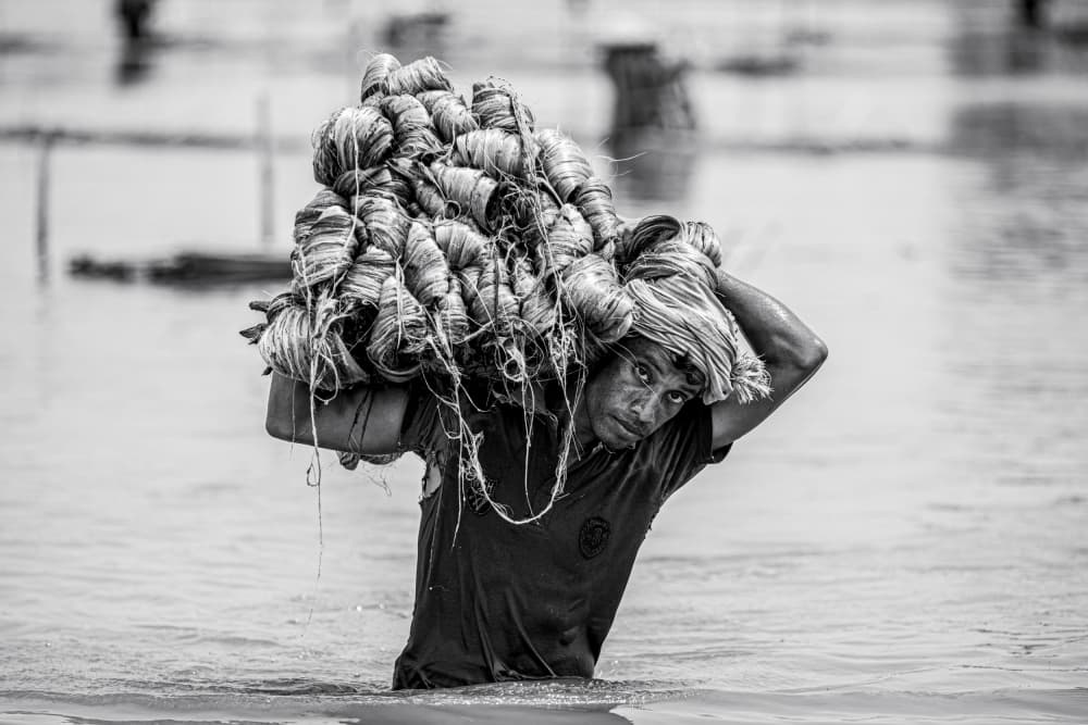Jute Laborer Wading Water by Rakibul Alam Khan — canvas wall art