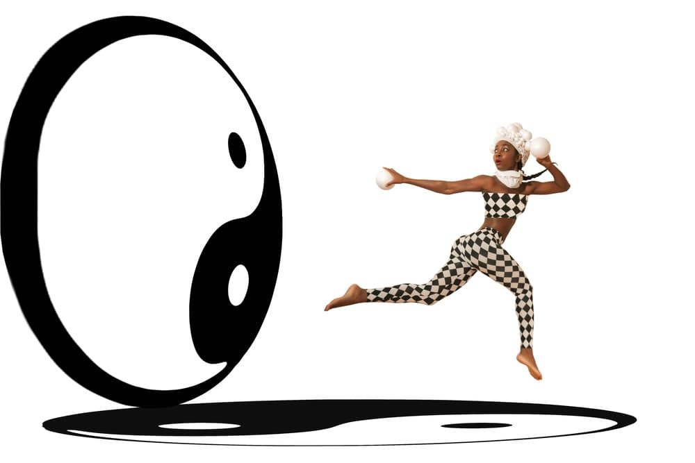 Harlequin Yin Yang Balance by Christine von Diepenbroek — canvas wall art