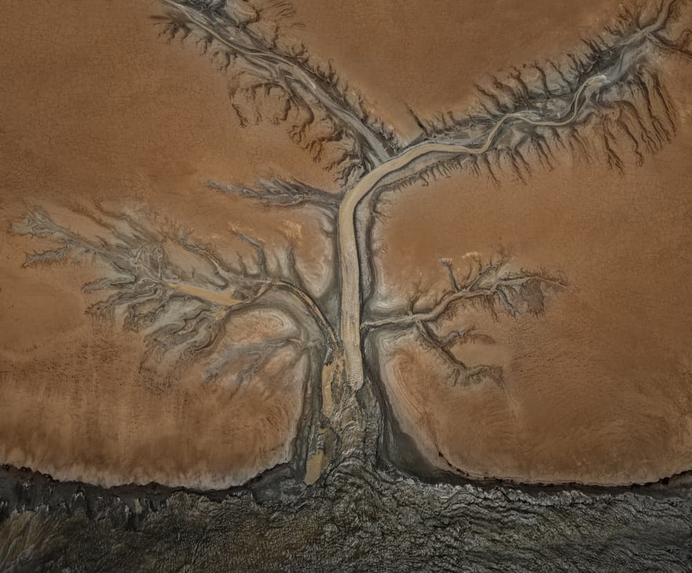 Dry River Delta Tree by John-Mei Zhong — canvas wall art