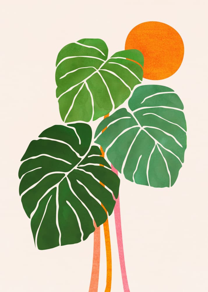 Monstera and Sunshine 1.png by Kristian Gallagher — canvas wall art