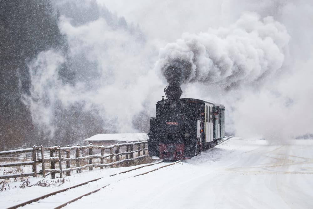 Winter Steam Train by Sveduneac Dorin Lucian — canvas wall art