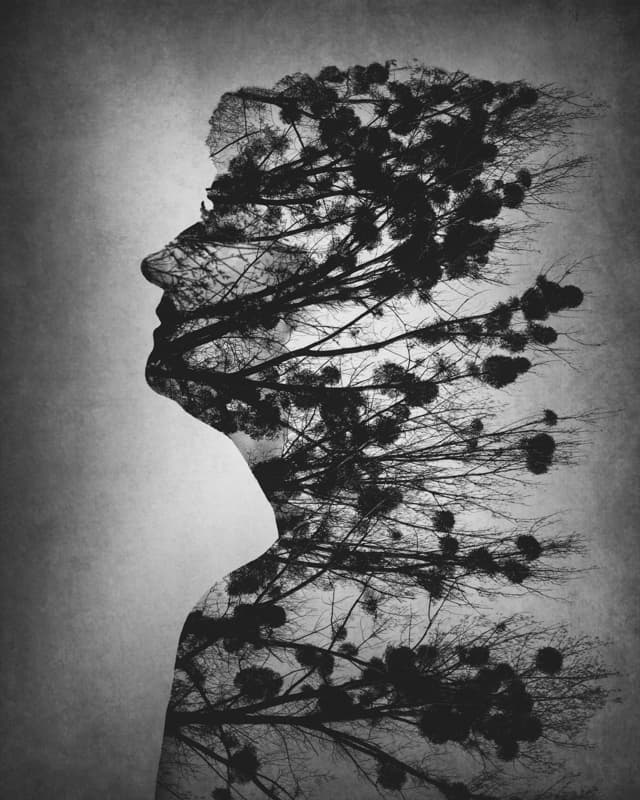 Mind of Nature by Dusan Macko — canvas wall art