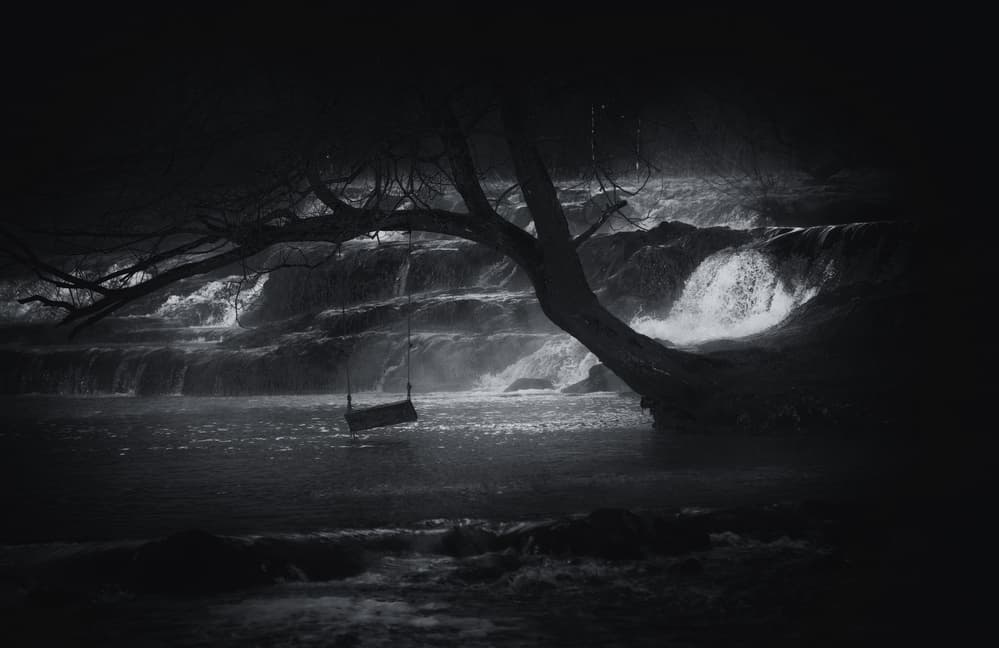 Dark Waters Swing by Ales Krivec — canvas wall art