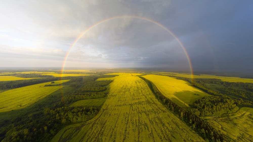 Rainbow Over Yellow Fields by Dmitry Doronin — canvas wall art