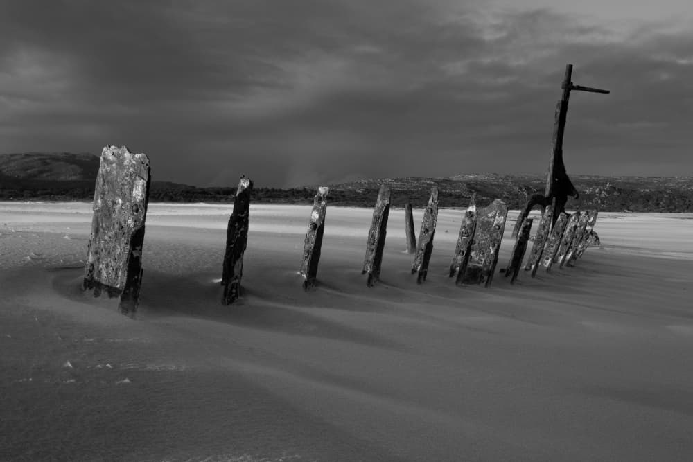 Skeletal Shipwreck Beach by Anthony Fox — canvas wall art