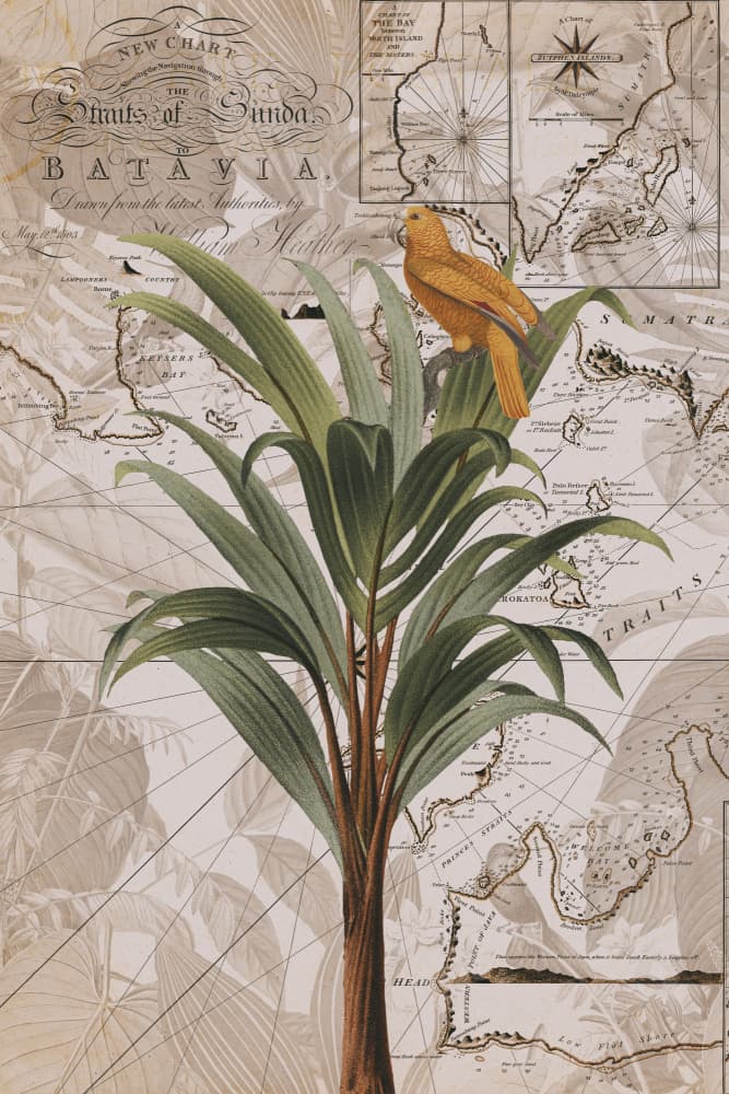 Tropical Map Bird by Andrea Haase — canvas wall art