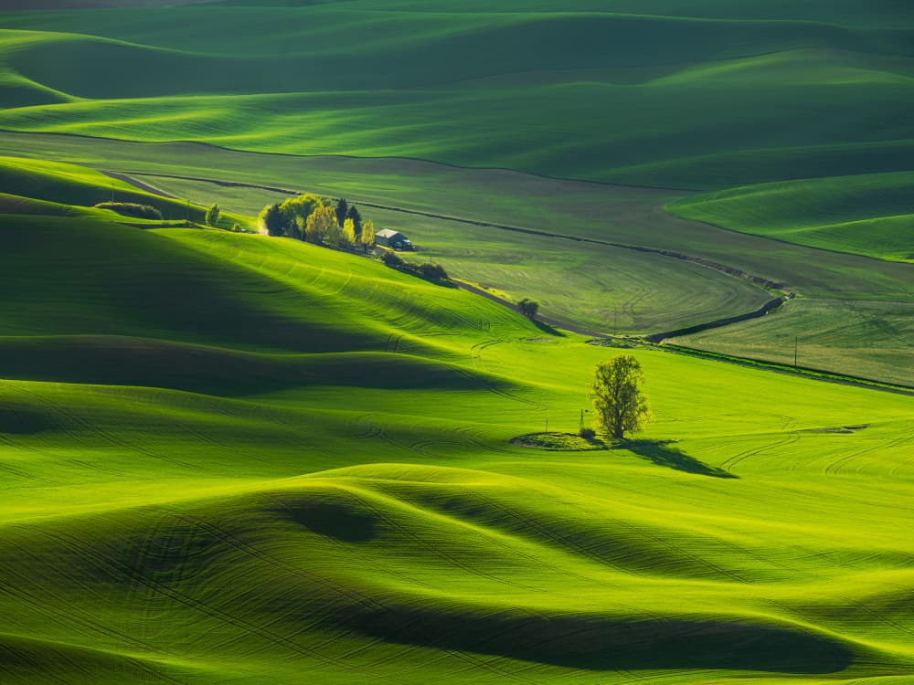 Rolling Green Farmland by Wenjin Yu — canvas wall art