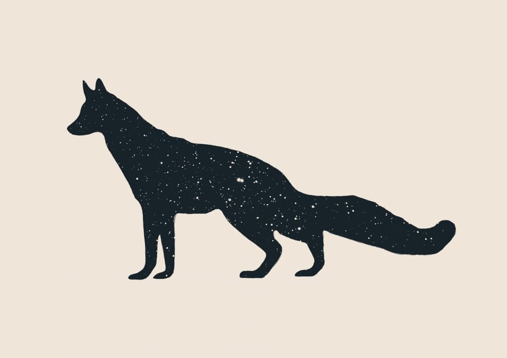 Starry Fox Silhouette by Florent Bodart — canvas wall art