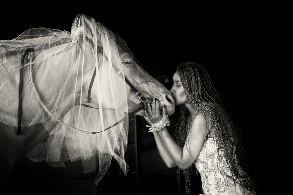 Bridal Horse Kiss by Yuri Shepelev — canvas wall art
