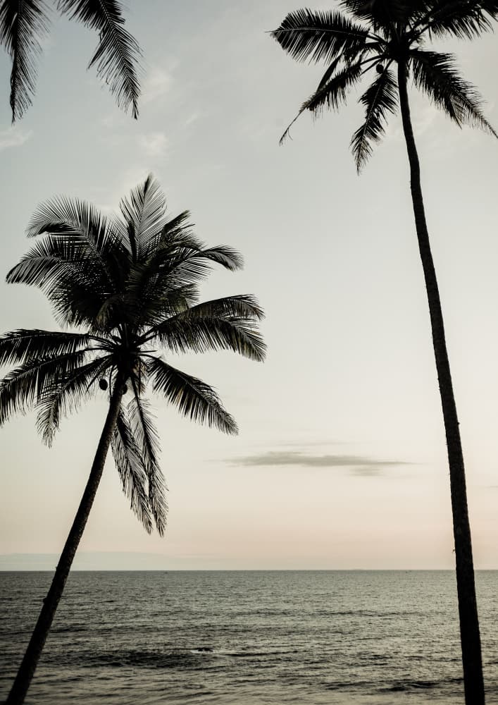 Tropical Dusk Sky by Shot by Clint — canvas wall art